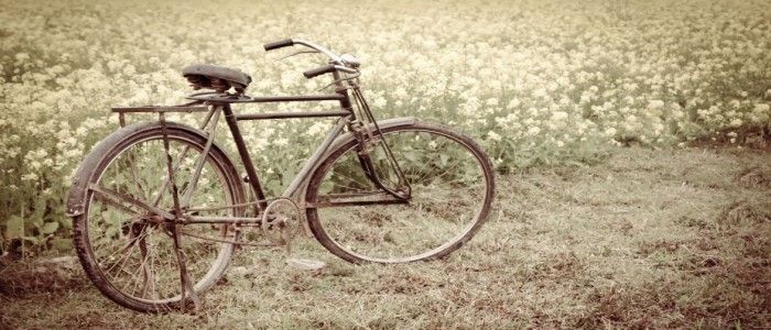 ॥ हरिया की भूतबाधा ॥