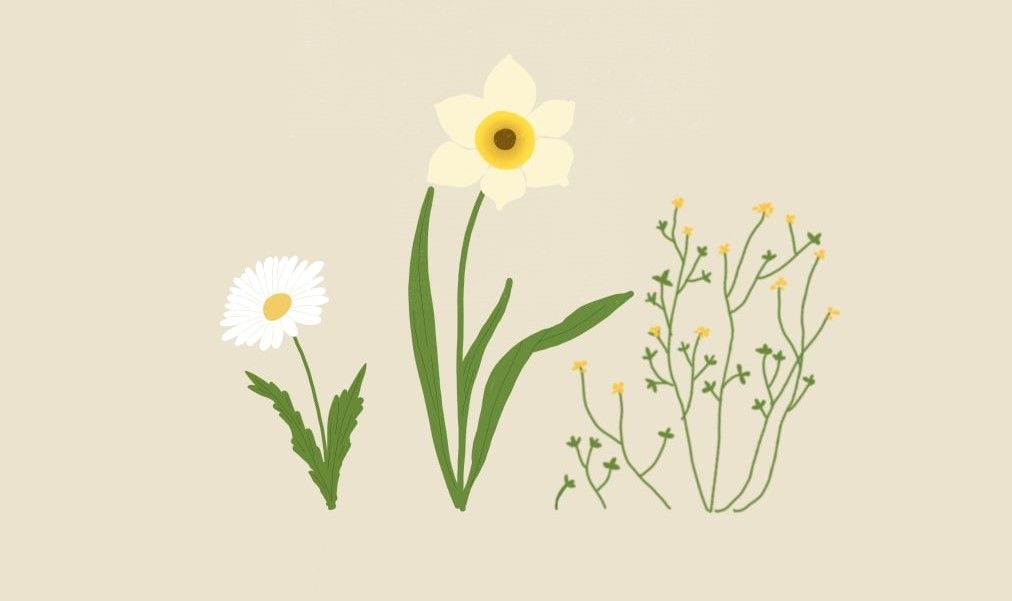 ॥ कविता--सार ॥